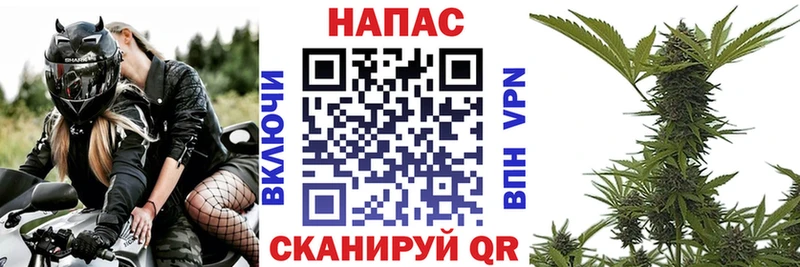 Лсд 25 Унеча